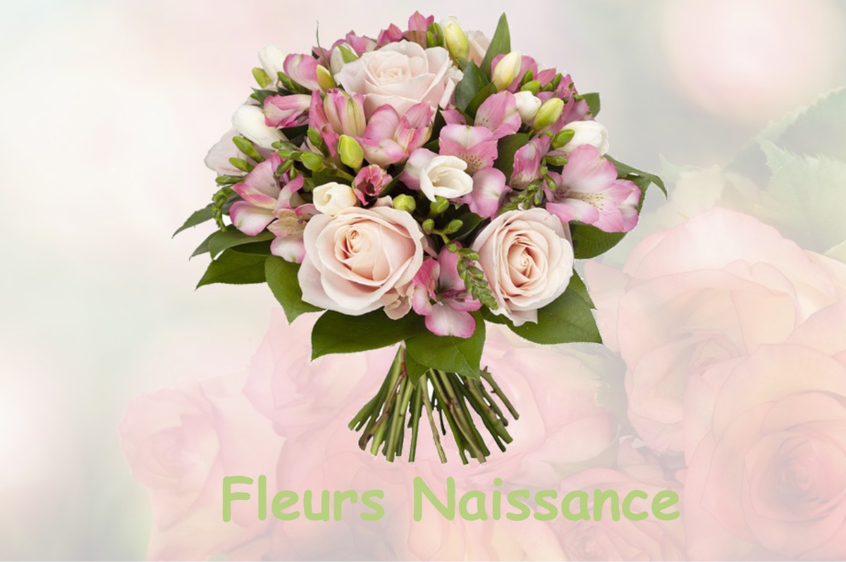 fleurs naissance ROUFFIAC-TOLOSAN