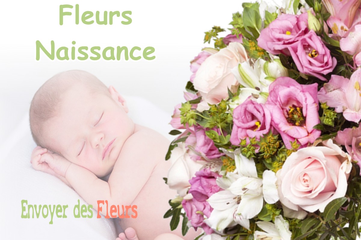 lIVRAISON FLEURS NAISSANCE à ROUFFIAC-TOLOSAN